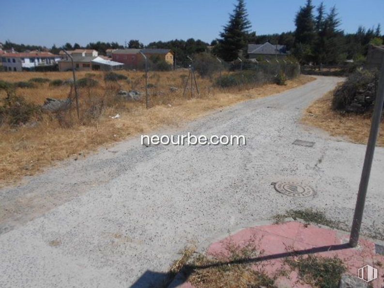 Land for sale at La Cañada, Herradón de Pinares, Ávila, 05294 with animal, mirror, sky, plant, road surface, tree, asphalt, natural landscape, land lot and grass around