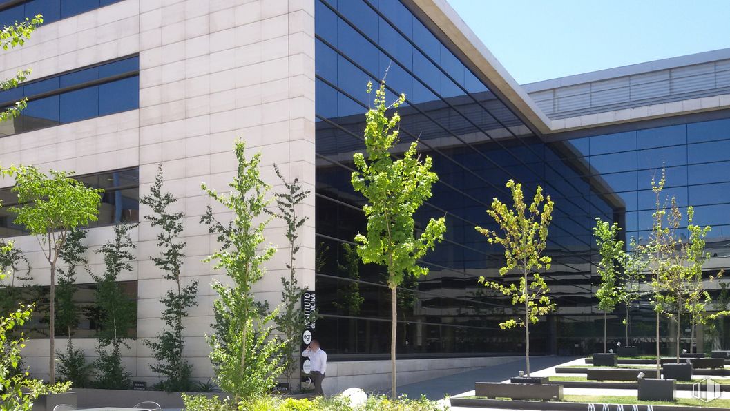 Office for rent at Complejo Aravaca Village, Camino Zarzuela, 19-21, Moncloa - Aravaca, Madrid, 28023 with window, building, plant, leaf, sky, architecture, yellow, urban design, shade and wall around