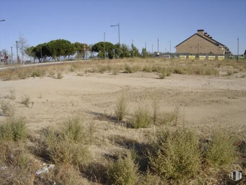 Suelo en alquiler en Zona Sector S, Boadilla del Monte, Madrid, 28660 con casa, cielo, propiedad, ecorregión, planta, paisaje natural, árbol, lote de terreno, vegetación y llano alrededor