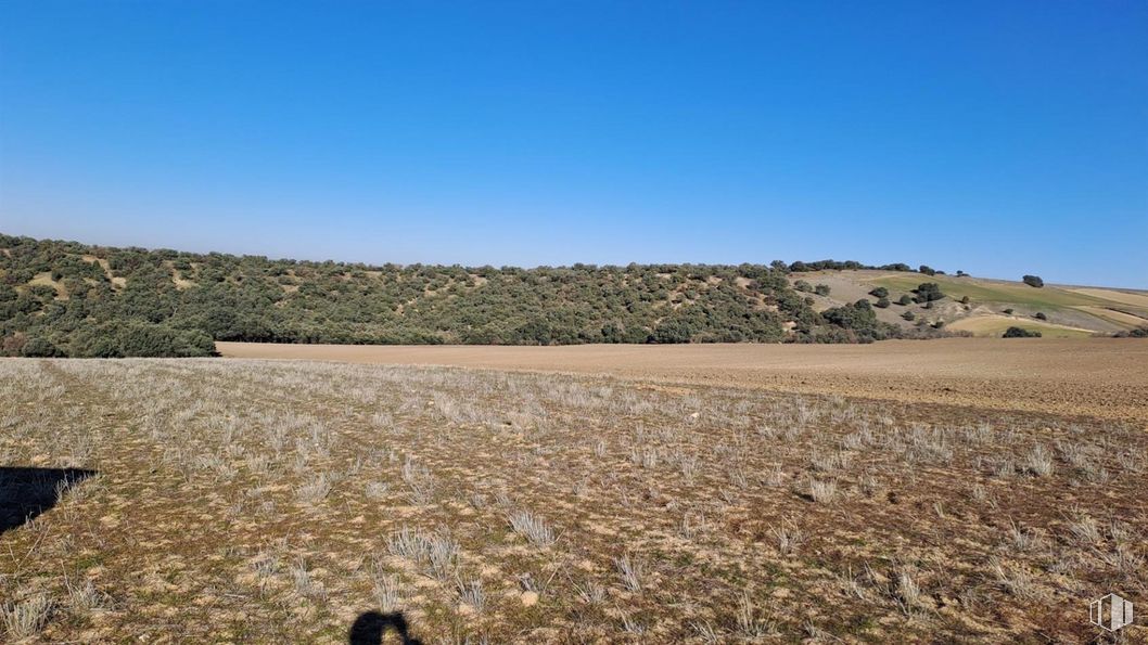 Land for sale at Zona Zamarramala, Segovia, 40196 with animal, sky, natural landscape, land lot, grass, grassland, plant, horizon, landscape and plain around