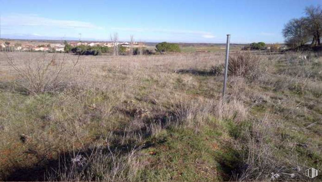 Land for sale at Parcela 59, 10 (E), Villarejo de Salvanés, Madrid, 28590 with sky, cloud, plant, ecoregion, natural environment, tree, natural landscape, land lot, grassland and grass around