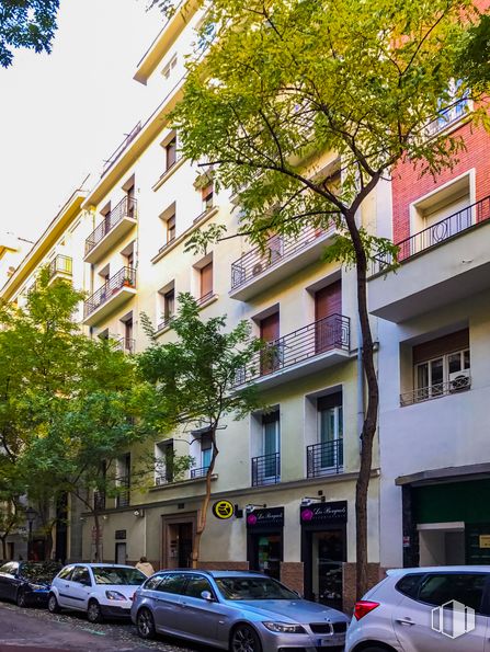 Local en venta en Calle Alcántara, 50, Salamanca, Madrid, 28006 con coche, ventana, edificio, neumático, rueda, vehículo, propiedad, fotografía, blanco y árbol alrededor