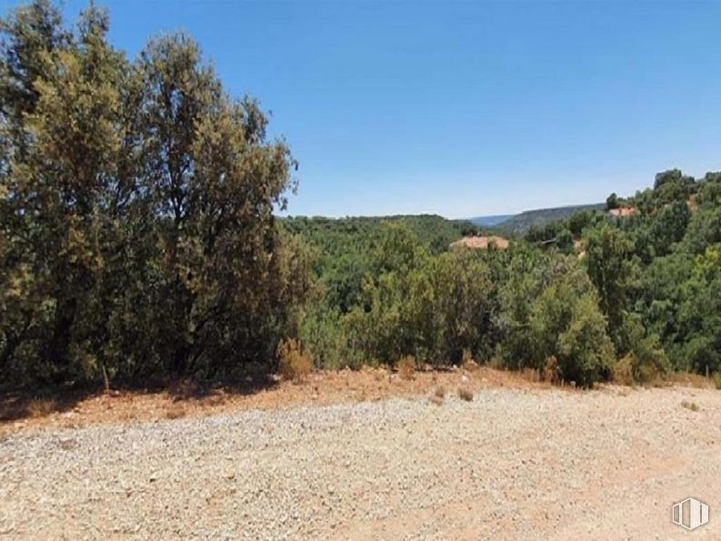 Land for sale at Calle Fuente del Sauco, Loranca de Tajuña, Guadalajara, 19141 with sky, natural landscape, plant, tree, landscape, grass, forest, road, grassland and shrub around