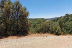 Land for sale at Calle Fuente del Sauco, Loranca de Tajuña, Guadalajara, 19141 with sky, natural landscape, plant, tree, landscape, grass, forest, road, grassland and shrub around