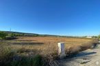 Land for sale at Calle Bronce, Chiloeches, Guadalajara, 19160 with sky, plant, cloud, natural landscape, grass, plain, horizon, grassland, landscape and meadow around