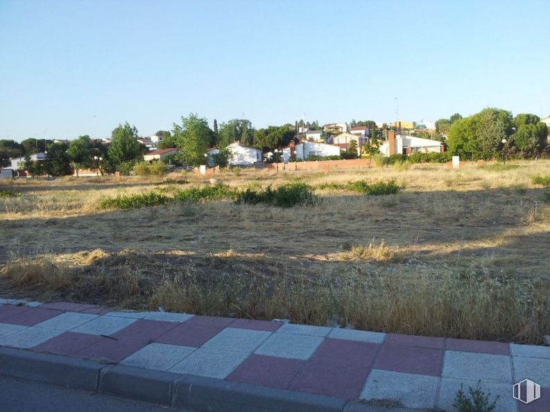 Land for sale at Paseo Olivar, El Álamo, Madrid, 28607 with plant, sky, road surface, tree, land lot, asphalt, grass, natural landscape, shade and urban design around