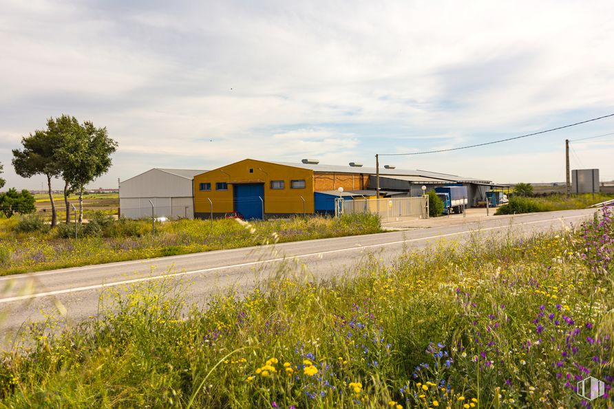 Industrial for rent at Calle Los Sauces, 1, Torrejón de Velasco, Madrid, 28990 with house, cloud, sky, plant, flower, tree, land lot, asphalt, building and road surface around