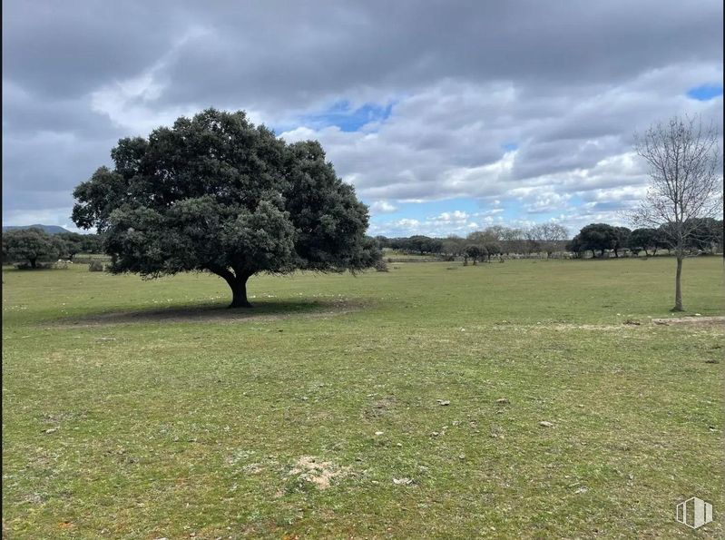 Suelo en venta en Polígono 2 Parcela 4 - Agua de San Martín, Galapagar, Madrid, 28280 con nube, cielo, planta, paisaje natural, árbol, hierba, cúmulo, llano, tintes y matices y pradera alrededor