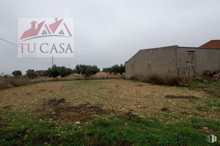 Land for sale at Camino Polán, S/N, Polán, Toledo, 45161 with building, plant, sky, property, ecoregion, land lot, grass, plain, landscape and grassland around