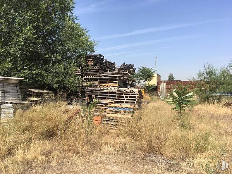 Suelo en venta en Polígono Fin de Semana, San Blas - Canillejas, Madrid, 28022 con cielo, planta, comunidad de plantas, nube, paisaje natural, árbol, madera, terreno, hierba y casa alrededor