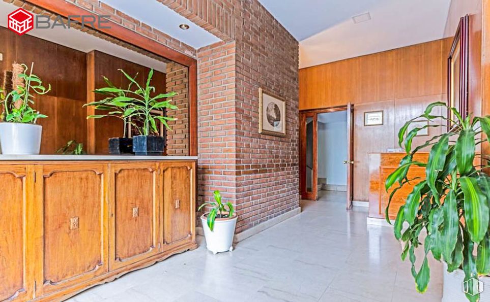 Oficina en venta en Calle de Modesto Lafuente, Chamberí, Madrid, 28003 con ebanistería, planta de interior, alacena, planta, propiedad, maceta, madera, interiorismo, naranja y alumbrado alrededor