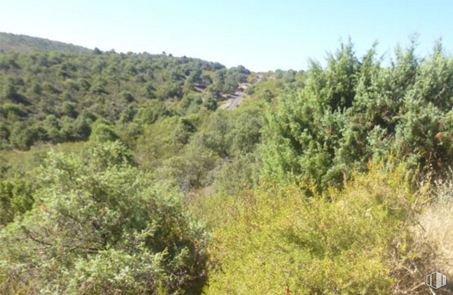 Land for sale at Calle Arroyo San Román, 36, Torremocha de Jarama, Madrid, 28189 with sky, plant, natural landscape, tree, terrestrial plant, shrub, groundcover, grassland, road and evergreen around