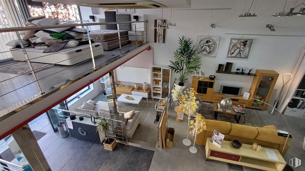 Local en alquiler y venta en Calle San José de Calasanz, Getafe, Madrid, 28902 con planta de interior, mueble, sofá, propiedad, planta, edificio, interiorismo, estantería, suelo y maceta alrededor