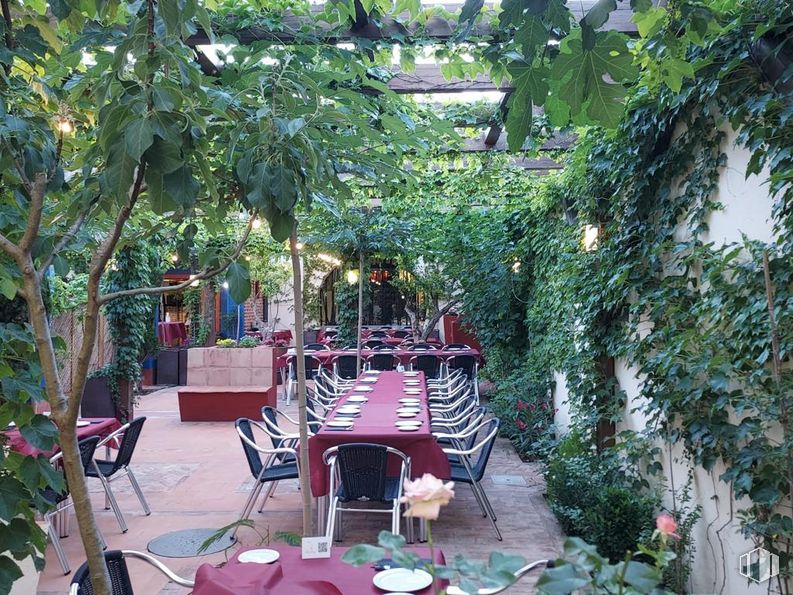 Retail for sale & for rent at Ronda Escuelas, Orgaz, Toledo, 45450 with chair, table, plant, leaf, outdoor furniture, tree, terrestrial plant, leisure, flowerpot and shade around