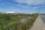 Land for sale at Calle Juan Aurelio Sanchez Tadeo, Ávila, 05002 with building, street light, sky, cloud, plant, flower, natural landscape, land lot, grass and grassland around