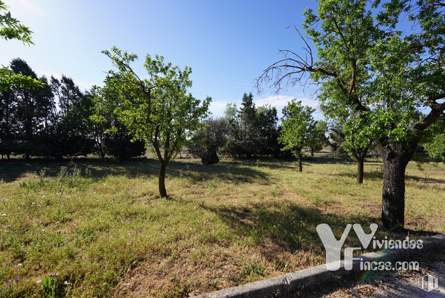 Suelo en venta en Zona polígono industrial Arboledas, Illescas, Toledo, 45200 con planta, cielo, comunidad vegetal, árbol, paisaje natural, rama, lote de terreno, hierba, llano y paisaje alrededor