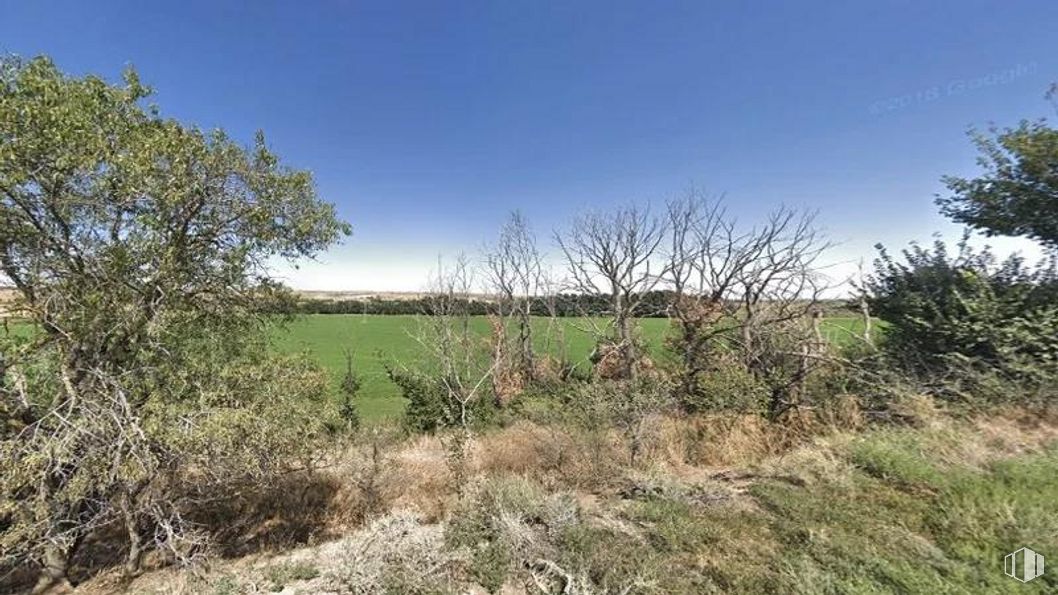 Land for sale at Calle Río Jarama, Suelo Polígono 83, Parcela 4, Toledo, 45006 with sky, plant, plant community, natural landscape, cloud, branch, land lot, tree, twig and plain around