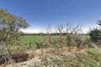 Suelo en venta en Calle Río Jarama, Suelo Polígono 83, Parcela 4, Toledo, 45006 con cielo, planta, comunidad vegetal, paisaje natural, nube, rama, lote de terreno, árbol, ramita y llano alrededor