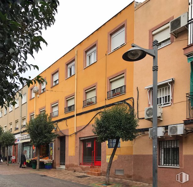 Local en venta en Avenida Libertad, Leganés, Madrid, 28917 con ventana, edificio, propiedad, cielo, planta, accesorio, árbol, diseño urbano, zona residencial y barrio alrededor