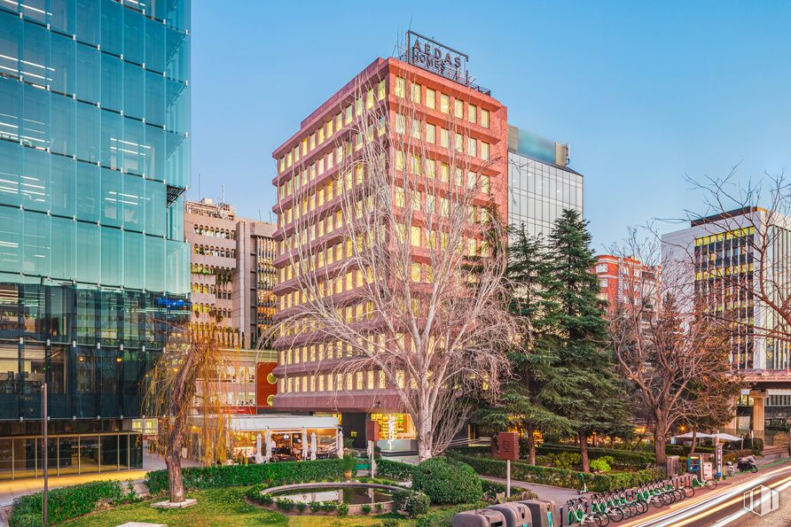 Oficina en alquiler en Paseo Castellana, 42, Salamanca, Madrid, 28046 con edificio, planta, cielo, día, propiedad, naturaleza, infraestructura, árbol, bloque de torre y diseño urbano alrededor