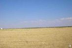 Land for sale at Camino Caperros, Ciruelos, Toledo, 45314 with sky, cloud, plant, natural landscape, tree, agriculture, horizon, landscape, grassland and event around