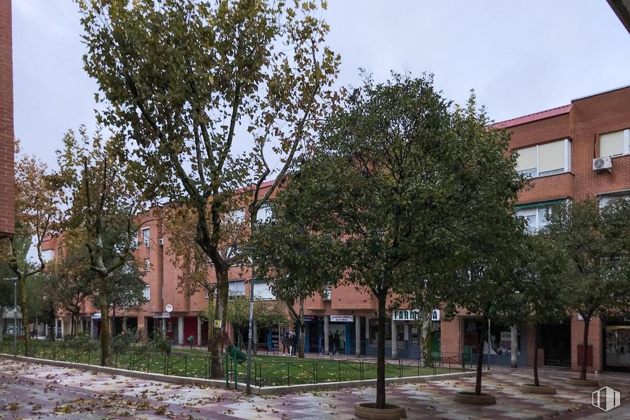 Local en alquiler en Plaza de Antonio Machado, 2 , Rivas-Vaciamadrid, Madrid, 28529 con edificio, planta, cielo, rama, superficie de la carretera, árbol, diseño urbano, ventana, barrio y planta leñosa alrededor