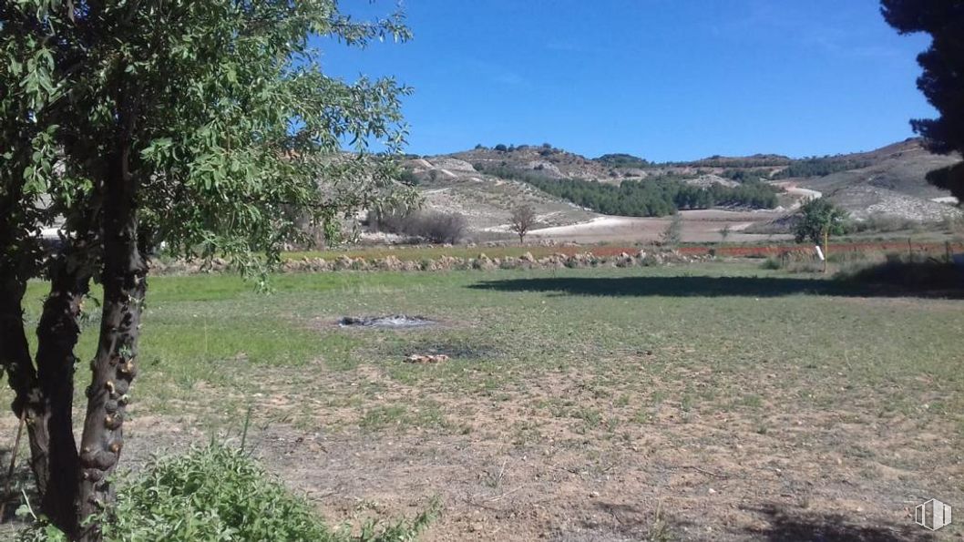 Land for sale at Zona Zarza de Tajo, Zarza de Tajo, Cuenca, 16470 with plant, sky, natural landscape, tree, land lot, mountain, plain, grassland, grass and landscape around