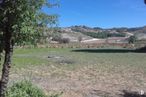 Suelo en venta en Zona Zarza de Tajo, Zarza de Tajo, Cuenca, 16470 con planta, cielo, paisaje natural, árbol, lote de tierra, montaña, llanura, pastizal, hierba y paisaje alrededor