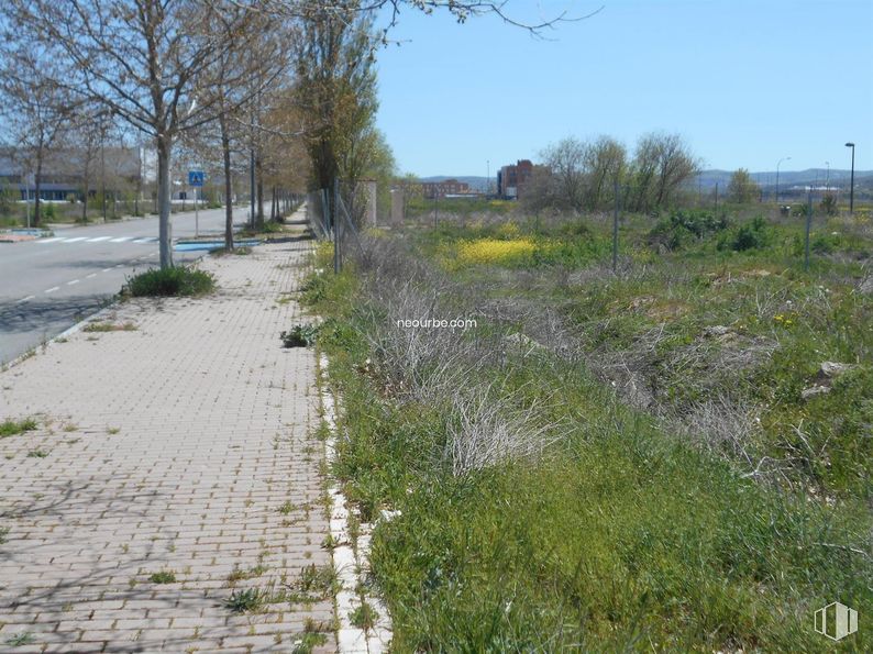 Land for sale at Calle Hoyo de Pinares, Ávila, 05002 with plant, sky, natural landscape, land lot, tree, grass, road surface, landscape, groundcover and asphalt around