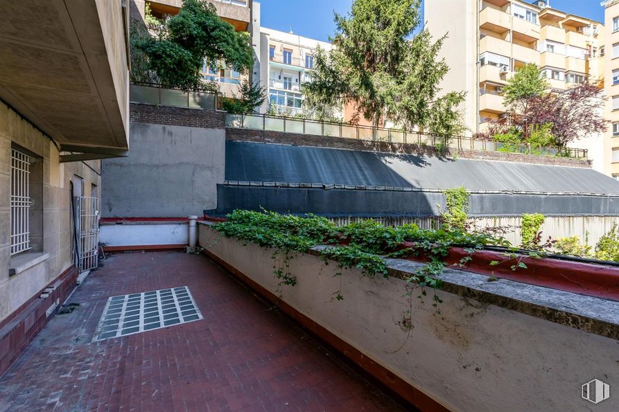 Oficina en venta en Calle Rafael Calvo, Chamberí, Madrid, 28010 con edificio, durante el día, planta, ventana, superficie de la carretera, árbol, diseño urbano, asfalto, barrio y acera alrededor