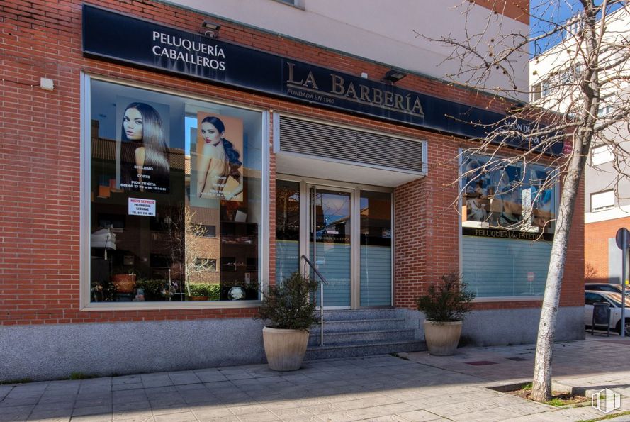 Local en alquiler y venta en Calle María Blanchard, 12, San Sebastián de los Reyes, Madrid, 28700 con planta de interior, planta, propiedad, maceta, edificio, arquitectura, ventana, fachada, inmobiliario y ciudad alrededor