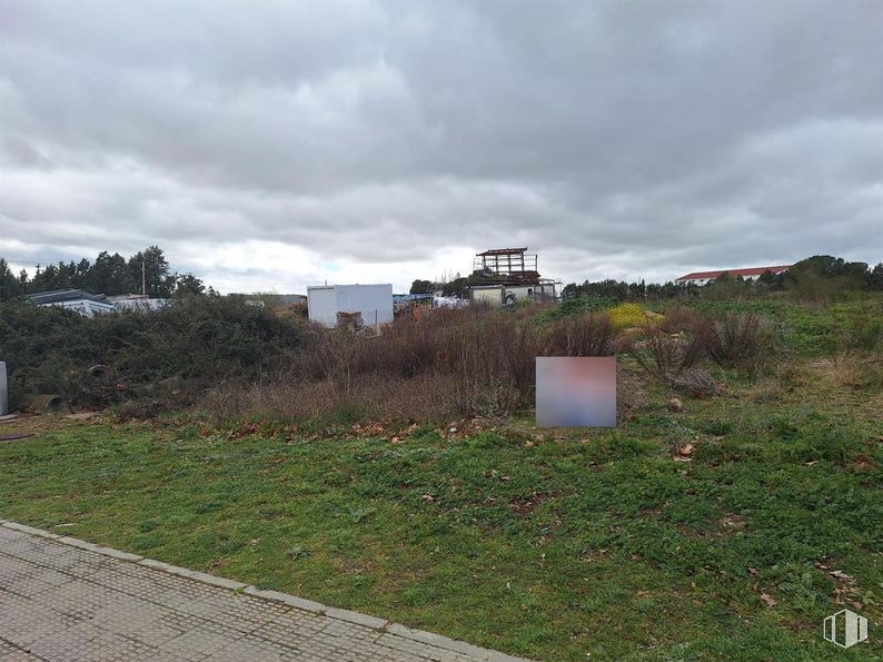 Suelo en venta en Zona industrial, Valdeolmos-Alalpardo, Madrid, 28130 con nube, cielo, planta, lote de terreno, paisaje natural, árbol, flor, paisaje, hierba y asfalto alrededor