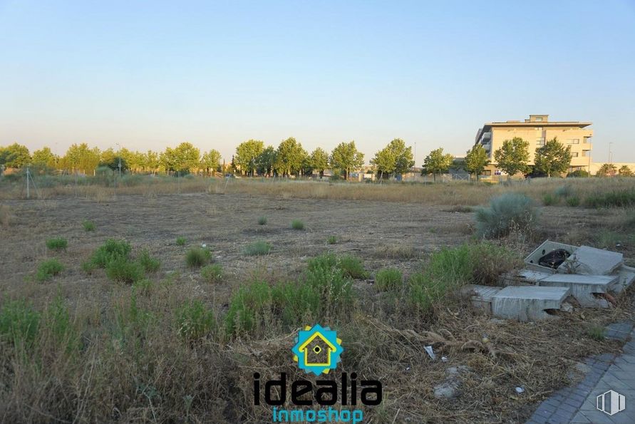 Suelo en venta en Zona La Montaña-Cortijo de San Isidro, Aranjuez, Madrid, 28300 con edificio, cielo, planta, paisaje natural, lote de tierra, árbol, pastizal, hierba, cobertura del suelo y paisaje alrededor