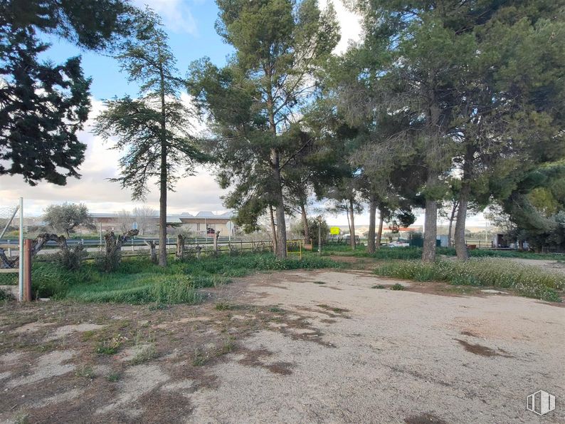 Local en venta en Carretera M-311, Chinchón, Madrid, 28370 con planta, nube, comunidad vegetal, cielo, árbol, lote de terreno, superficie de la carretera, paisaje natural, sombra y arecales alrededor