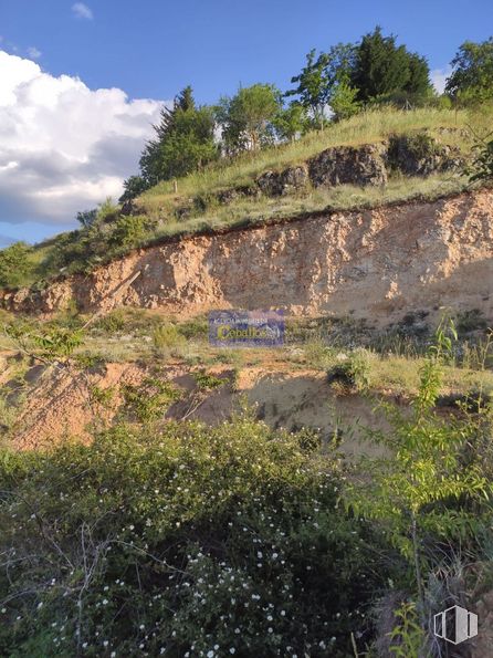 Land for sale at Camino Pililla, Horche, Guadalajara, 19140 with sky, plant, cloud, bedrock, natural landscape, vegetation, watercourse, terrain, tree and grass around