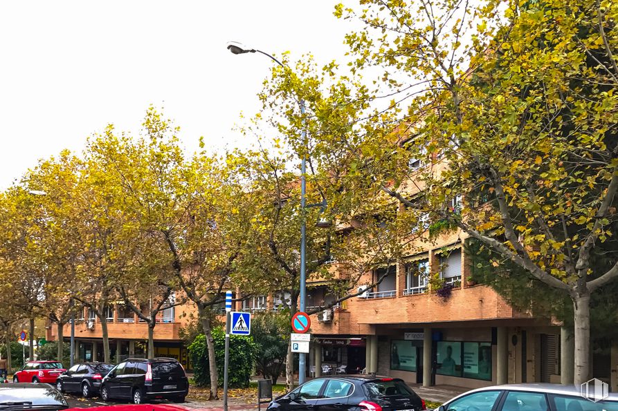 Retail for sale at Zona Avenida Europa, Pozuelo de Alarcón, Madrid, 28224 with car, automotive parking light, vehicle, sky, plant, motor vehicle, wheel, automotive lighting, tire and automotive exterior around