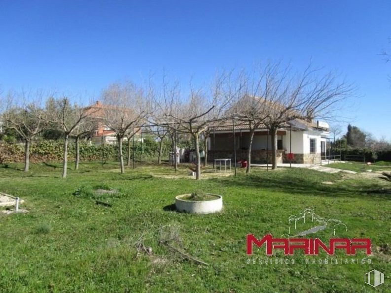 Retail for sale at Zona Nuevo Borox, Borox, Toledo, 45222 with sky, plant, natural landscape, tree, land lot, woody plant, grassland, plain, grass and house around