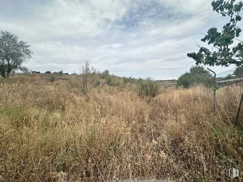 Industrial for sale at Calle Batanes, Villarejo de Salvanés, Madrid, 28590 with cloud, sky, plant, natural landscape, tree, land lot, wood, plain, grass and landscape around