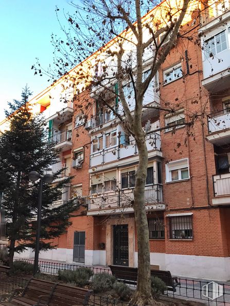 Local en venta en Calle Mallorca, 12, Leganés, Madrid, 28913 con edificio, planta, durante el día, propiedad, ventana, cielo, árbol, rama, arquitectura y diseño urbano alrededor