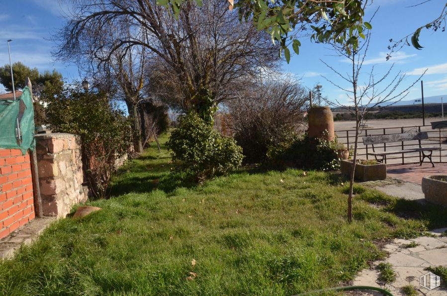 Retail for sale at Calle Bayona, 44, Boceguillas, Segovia, 40560 with plant, sky, cloud, vegetation, road surface, land lot, tree, woody plant, natural landscape and road around