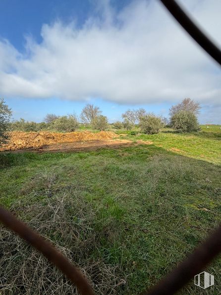 Land for sale at Pl. Diseminados 5021, Santorcaz, Madrid, 28818 with cloud, sky, plant, natural landscape, wood, land lot, agriculture, plain, cumulus and horizon around