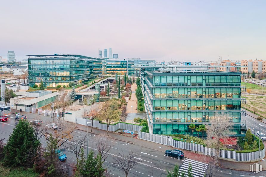 Oficina en alquiler en Vía Norte, Calle Quintanavides, 17, Fuencarral - El Pardo, Madrid, 28050 con edificio, cielo, planta, día, árbol, diseño urbano, bloque de torres, barrio, condominio y superficie de la carretera alrededor