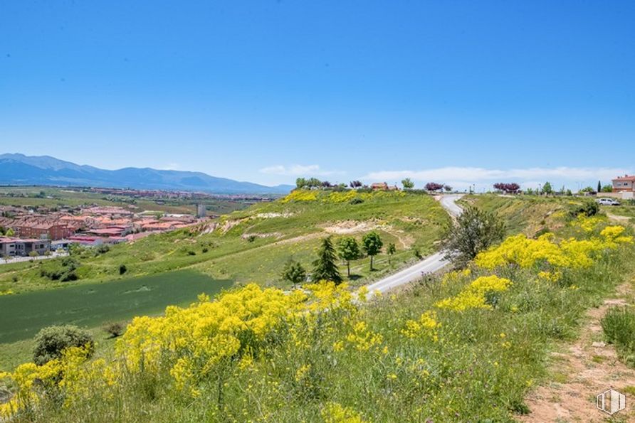 Suelo en venta en Las Zumaqueras, La Lastrilla, Segovia, 40196 con cielo, planta, flor, comunidad de plantas, entorno natural, montaña, paisaje natural, lote de tierra, nube y árbol alrededor