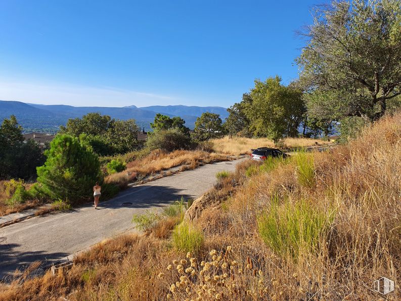 Suelo en venta en Calle Adobes, s/n, Piedralaves, Ávila, 05440 con planta, cielo, comunidad de plantas, árbol, paisaje natural, lote de tierra, montaña, pastizal, superficie de la carretera y paisaje alrededor