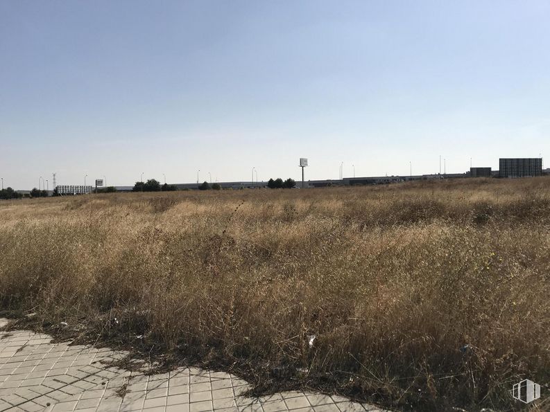 Suelo en venta en Zona industrial (PP10), Leganés, Madrid, 28914 con cielo, planta, paisaje natural, lote de terreno, llano, paisaje, agricultura, pradera, hierba y carretera alrededor