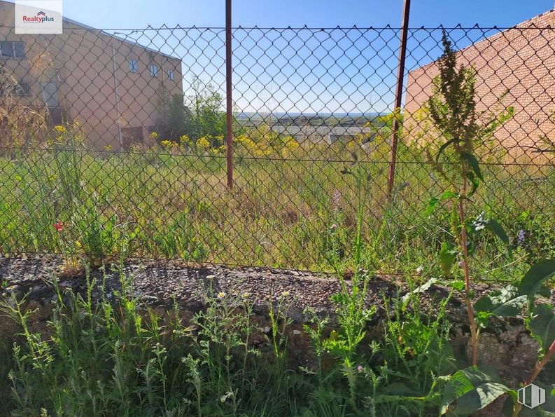 Land for sale at Polígono industrial El Cerro, Segovia, 40006 with plant, sky, plant community, flower, leaf, fence, vegetation, land lot, mesh and wire fencing around