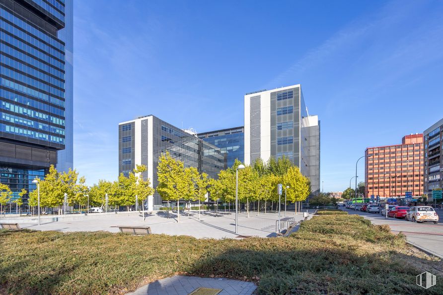 Office for rent at Edificio Castellana Hall, Paseo Castellana, 257, Fuencarral - El Pardo, Madrid, 28046 with building, sky, plant, cloud, window, leaf, tree, urban design, skyscraper and biome around