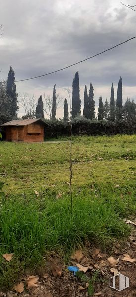 Suelo en venta en Carretera Algete, San Sebastián de los Reyes, Madrid, 28709 con casa, cielo, planta, nube, paisaje natural, árbol, ventana, lote de terreno, hierba y edificio alrededor