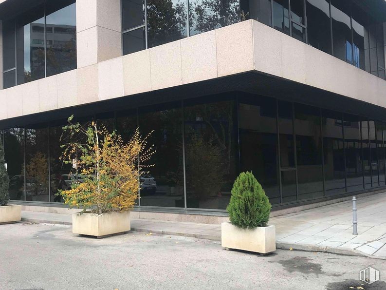 Oficina en venta en Polígono Industrial Sur, San Sebastián de los Reyes, Madrid, 28703 con planta de interior, planta, maceta, ventana, edificio, diseño urbano, sombra, condominio, inmobiliario y material compuesto alrededor