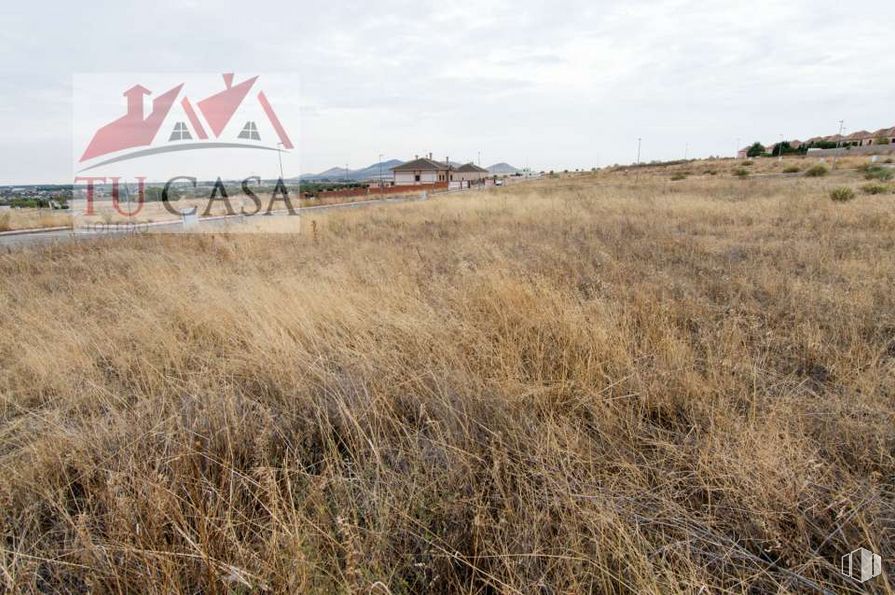 Land for sale at  Carretera de Cobisa a Burguillos, Cobisa, Toledo, 45111 with sky, plant community, cloud, plant, natural landscape, land lot, house, grassland, landscape and plain around